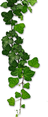 Antyki Meble